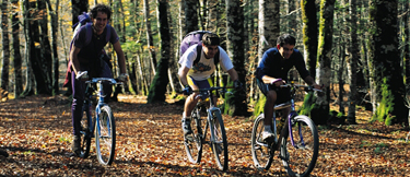 Fotos Deporte Vasco